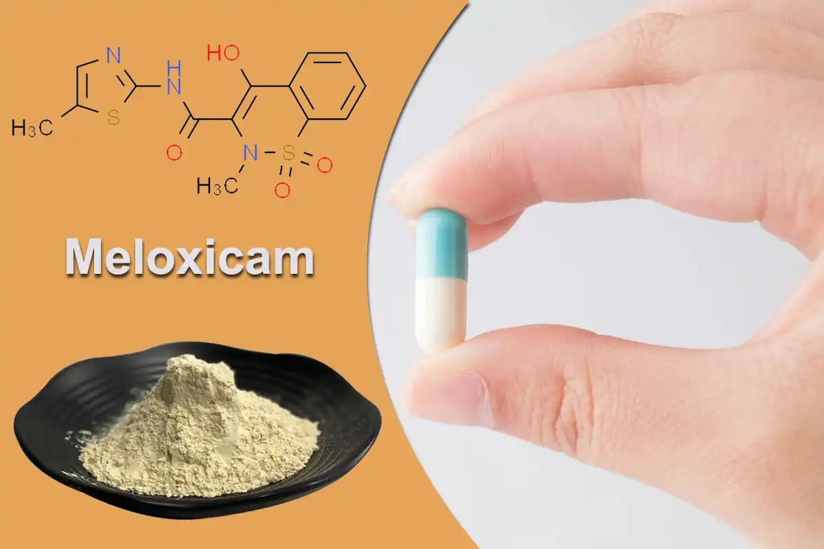 Meloxicam Full.jpg